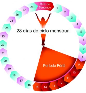 calculadora ovulacion